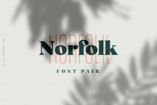 Bring Your Brand to Life with Norfolk Duo Font